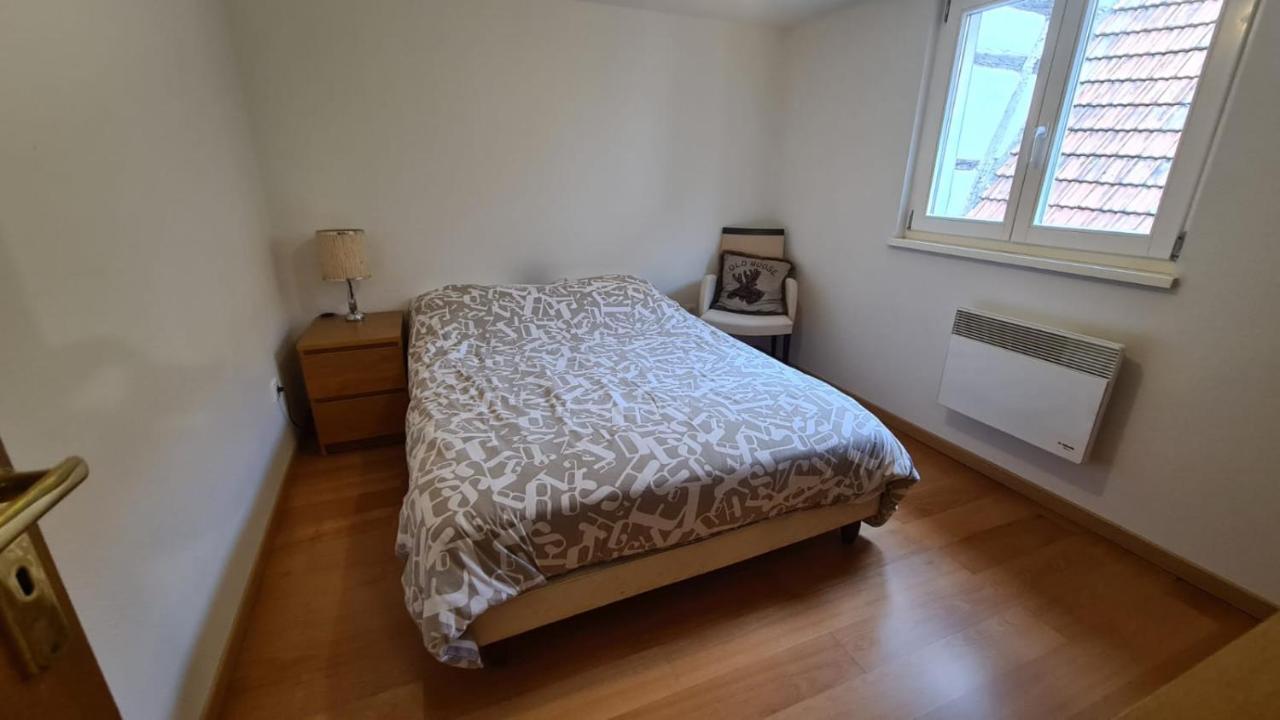 Le Bonheur Est Parfois Cache Dans L'Inconnu Apartment Selestat Bagian luar foto