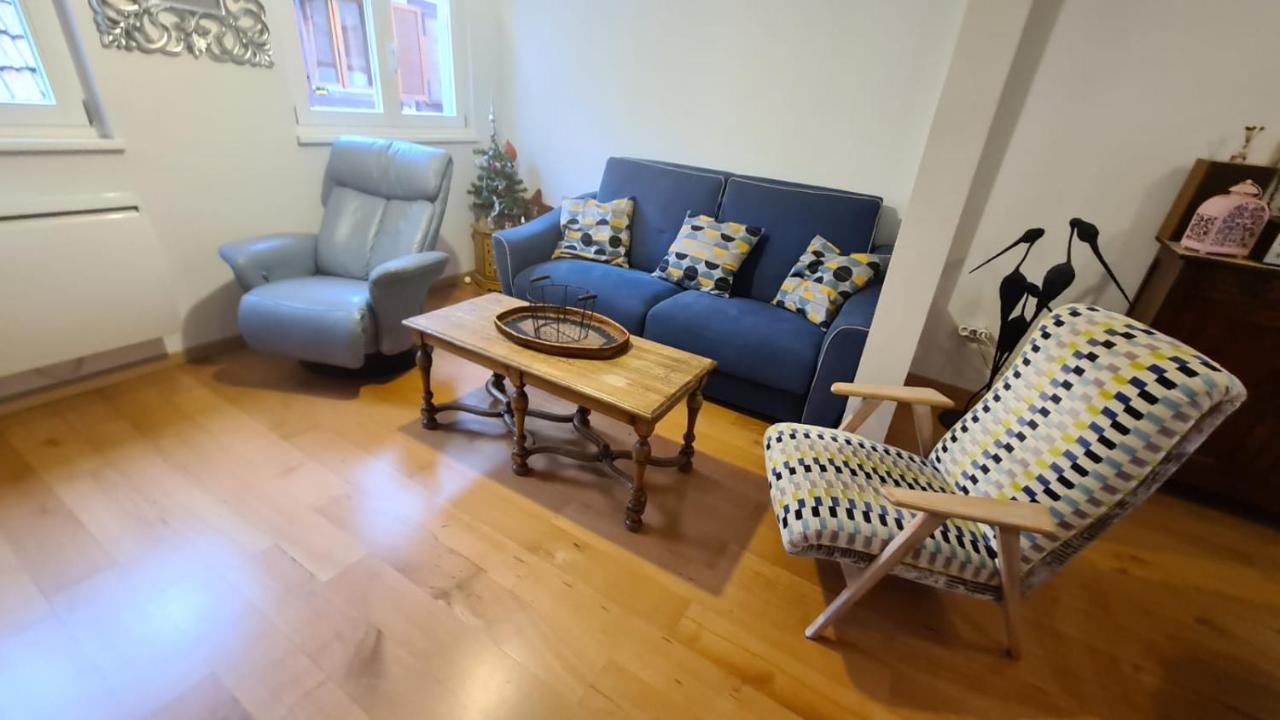 Le Bonheur Est Parfois Cache Dans L'Inconnu Apartment Selestat Bagian luar foto