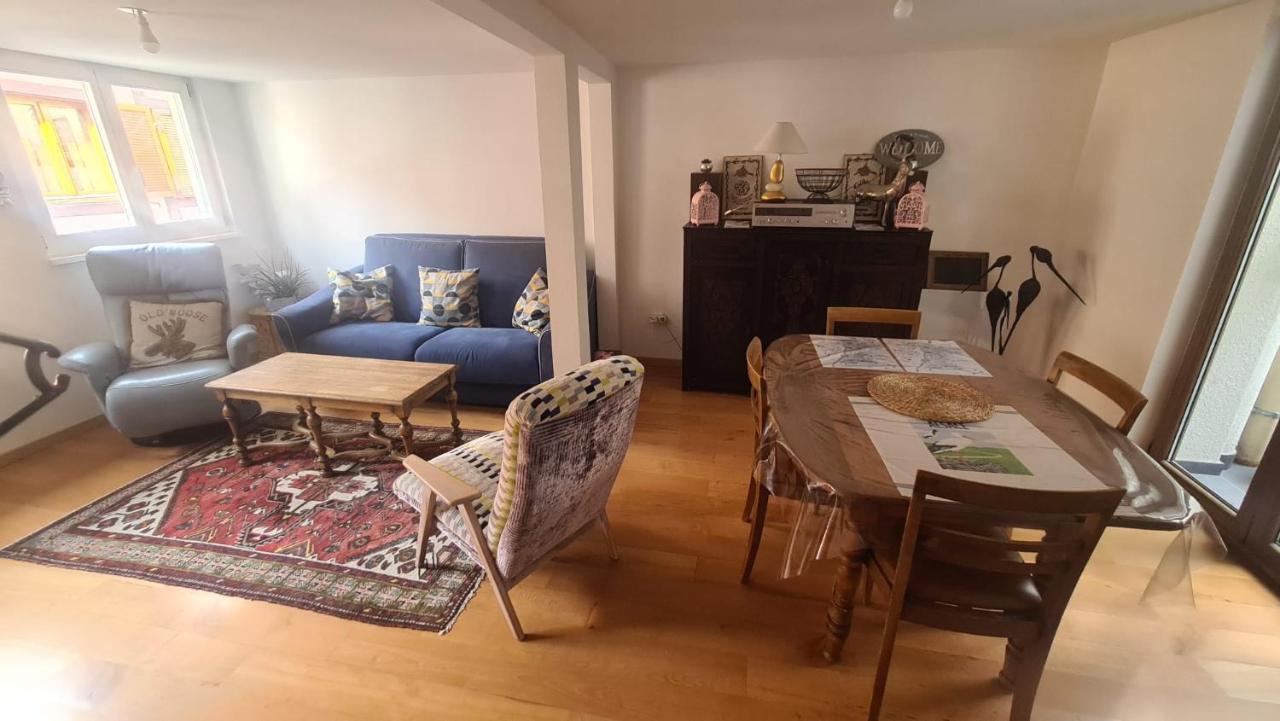 Le Bonheur Est Parfois Cache Dans L'Inconnu Apartment Selestat Bagian luar foto