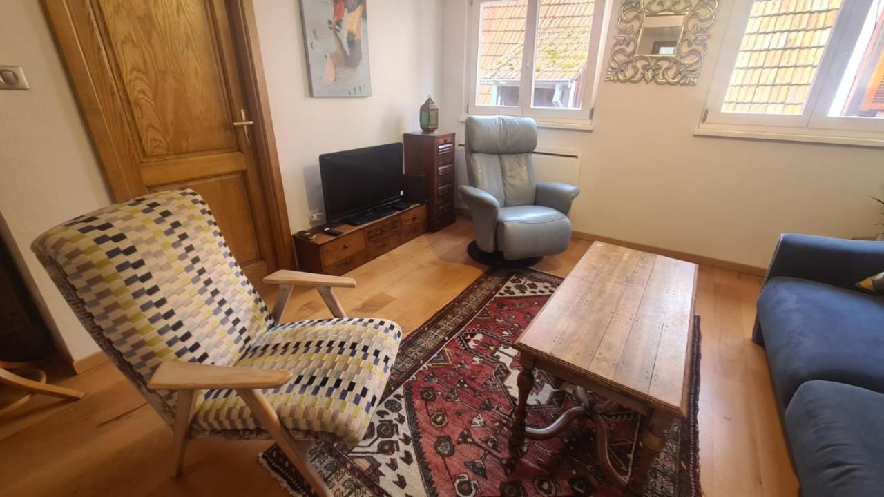 Le Bonheur Est Parfois Cache Dans L'Inconnu Apartment Selestat Bagian luar foto
