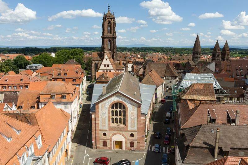 Le Bonheur Est Parfois Cache Dans L'Inconnu Apartment Selestat Bagian luar foto