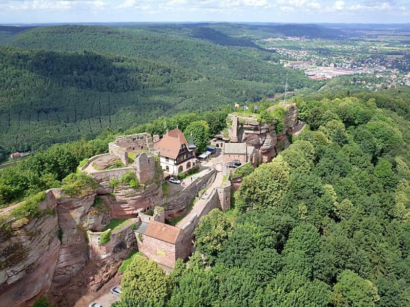 Le Bonheur Est Parfois Cache Dans L'Inconnu Apartment Selestat Bagian luar foto